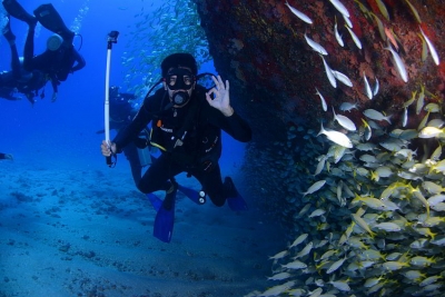 Padi Diving Classes UK