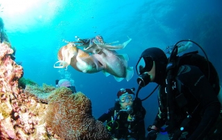 Diving Course for Open Water Certificate Licence