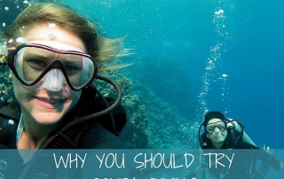 Try Scuba Diving at Jeffs Dibing World Membership Discount