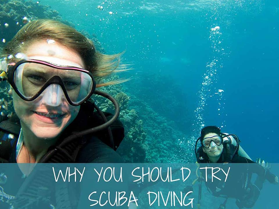 Try Scuba Diving at Jeffs Dibing World Membership Discount