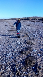Beach Clean events in Somerset