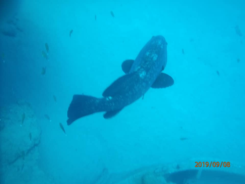 Big Fish Lanzarote Diving