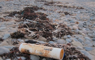 Winter Beach Clean Watchet