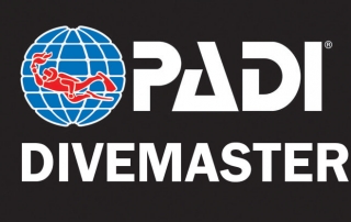 pADI dIVEMASTER