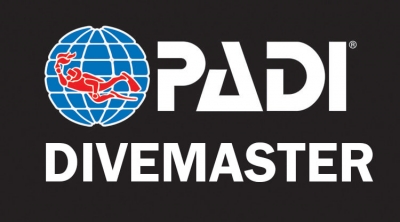 pADI dIVEMASTER