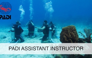 PADI assistant instructor course