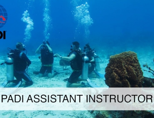 PADI Instructor Assistant Course