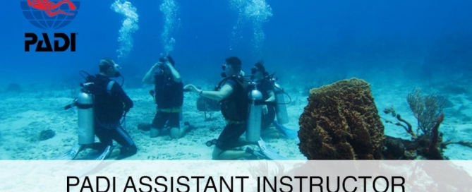 PADI assistant instructor course