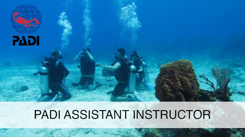 PADI assistant instructor course