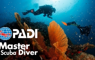 DIVING MASTER SCUBA PADI
