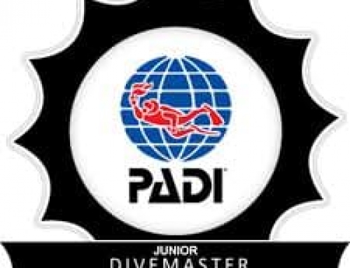 Rescue Divers to Junior Divemaster