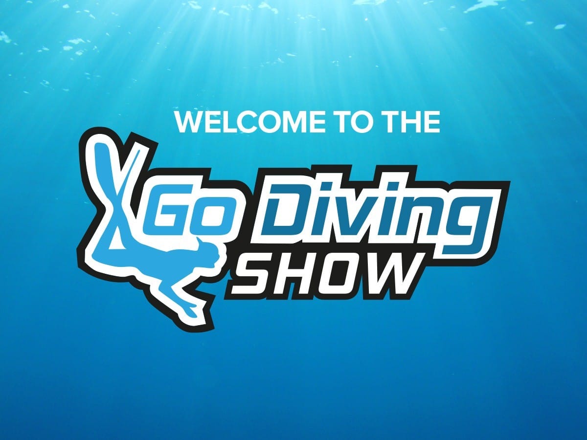 Go Diving Show 2023