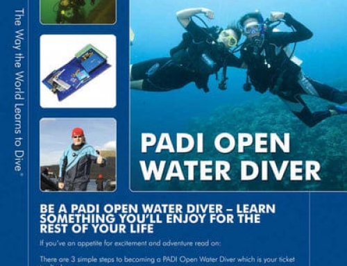 Promotional Offer – Diving Course