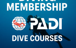 diving memberships padi jeffs diving world