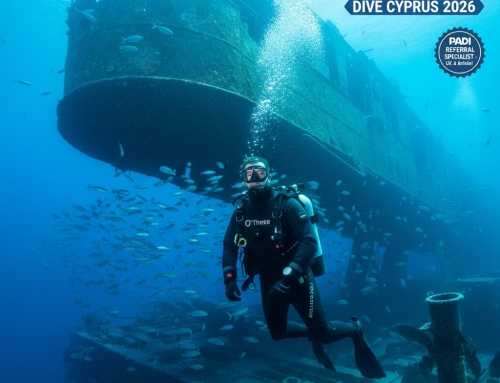 Dive Into 2026: Jeff’s Diving World Announces Unforgettable PADI Diving Events