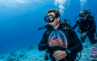 ipo diving advice jeffs diving world