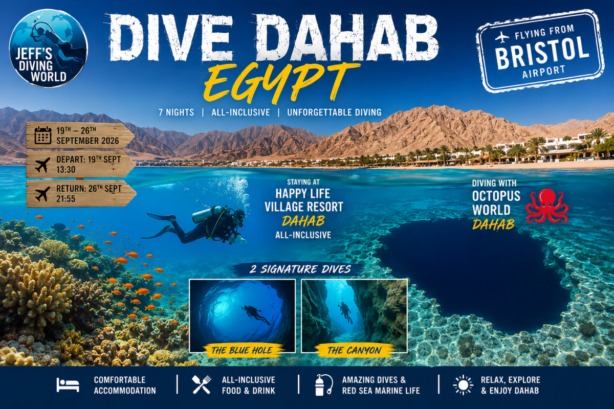 Dahab Egypt Diving Event Holiday Jeffs Diving World
