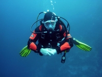 PADI Diving Courses South West UK